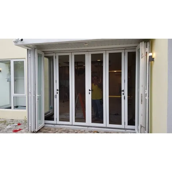 Insect Screen Folding Door